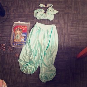 Disney's Aladdin Jasmine adult costum